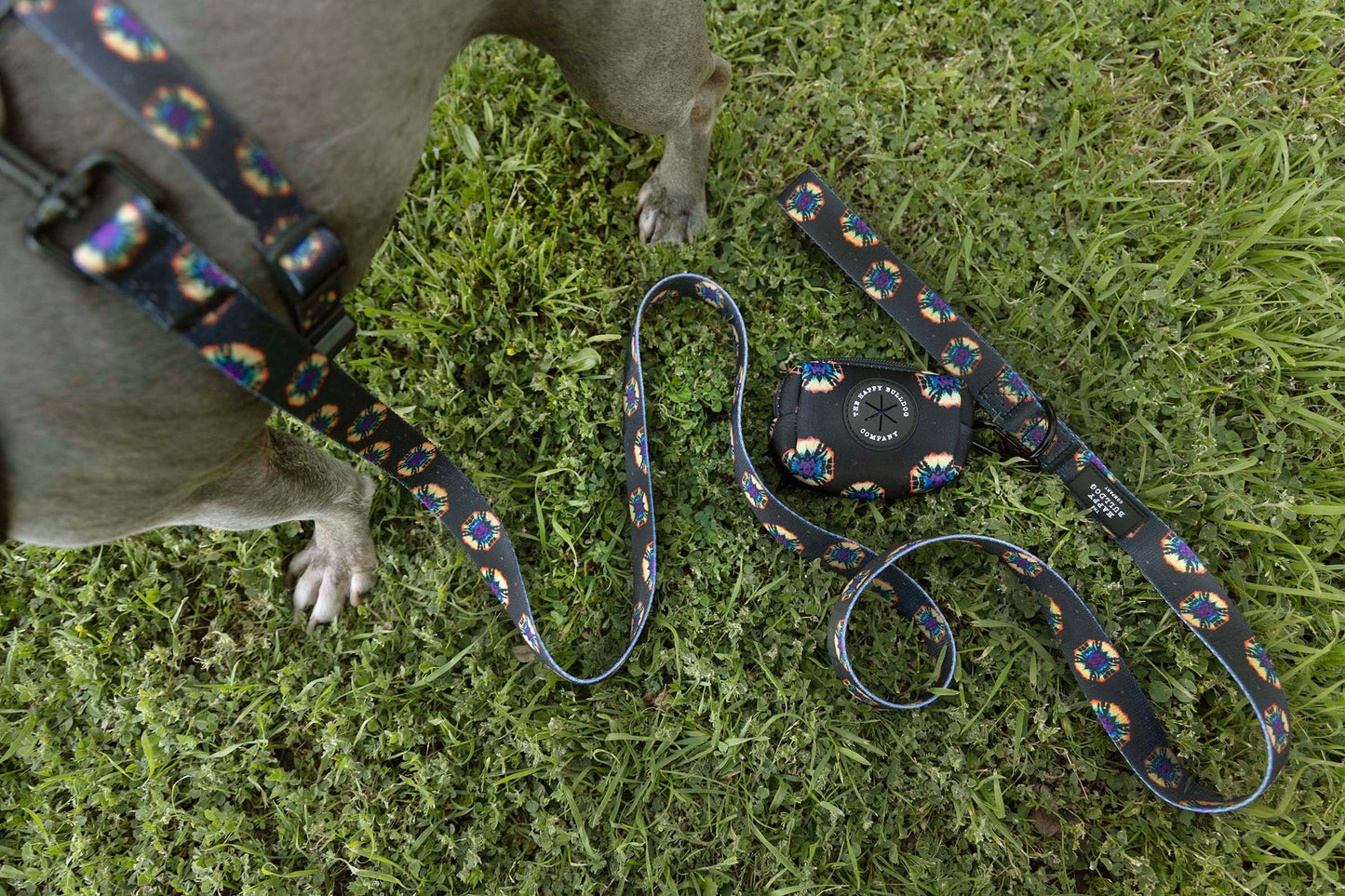 Midnight Tie Dye Leash